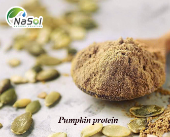 Pumpkin Protein